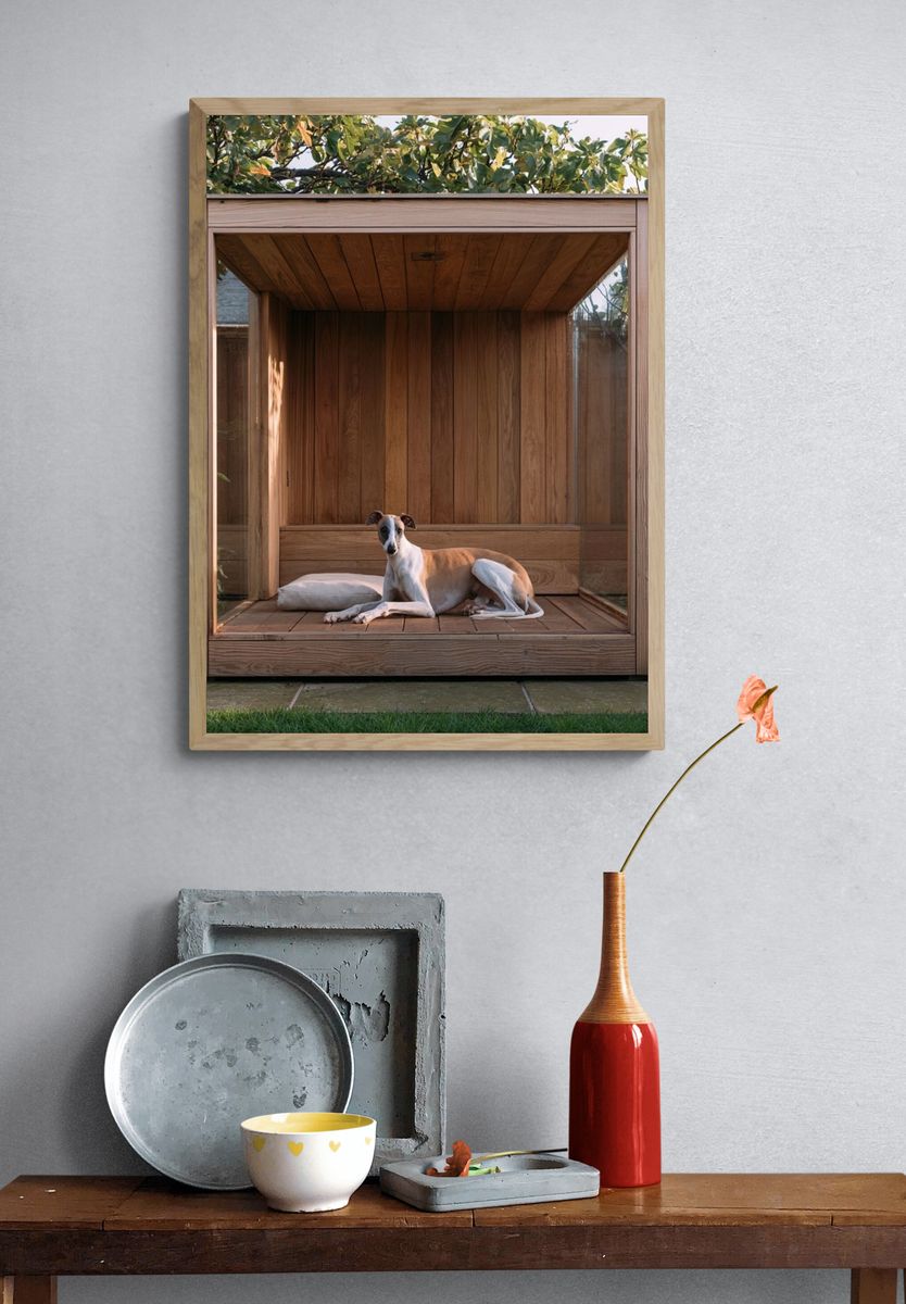 Greyhound in Wooden Garden Shelter Poster. — room view 3