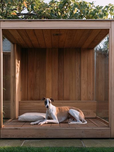 Greyhound in Wooden Garden Shelter Poster. poster