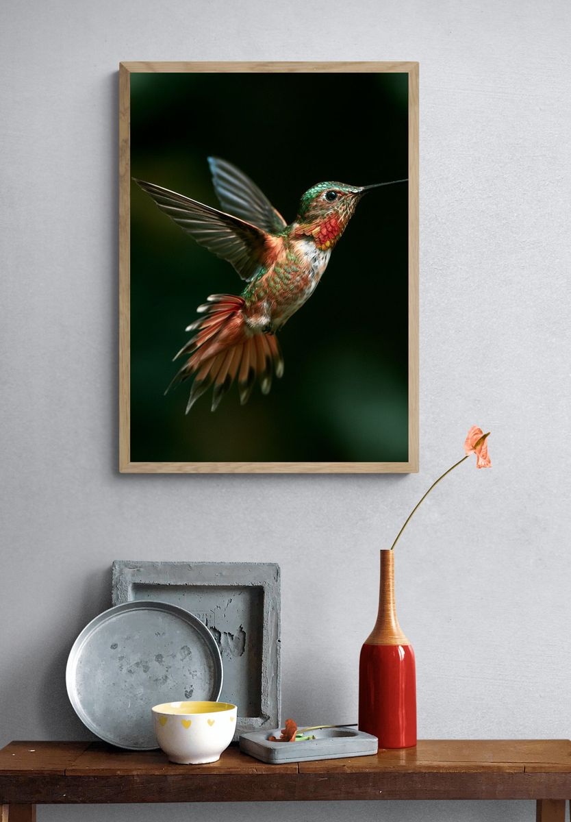 Hummingbird in Flight Poster. — room view 3