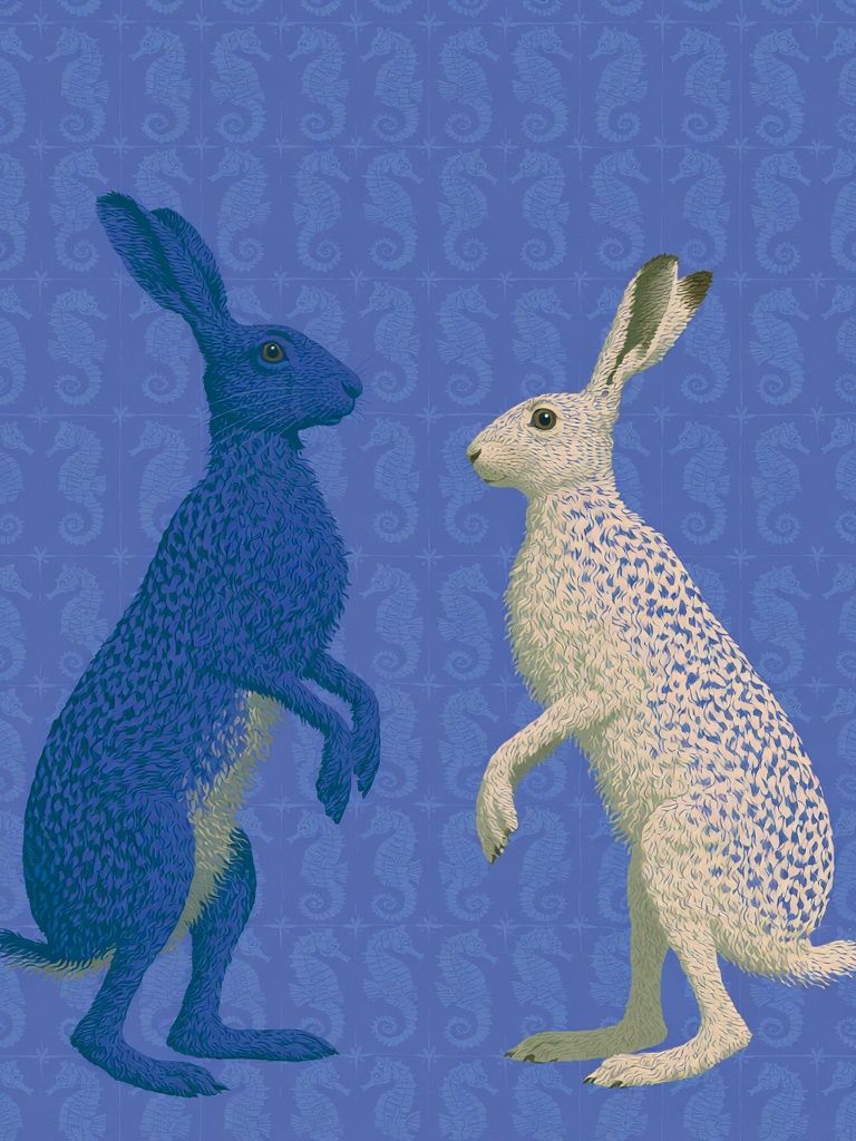 Blue and White Hares Illustration Poster. poster — animals art