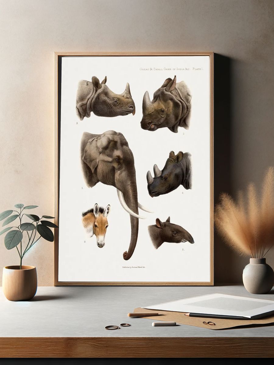 Vintage animal illustrations. — room view 2