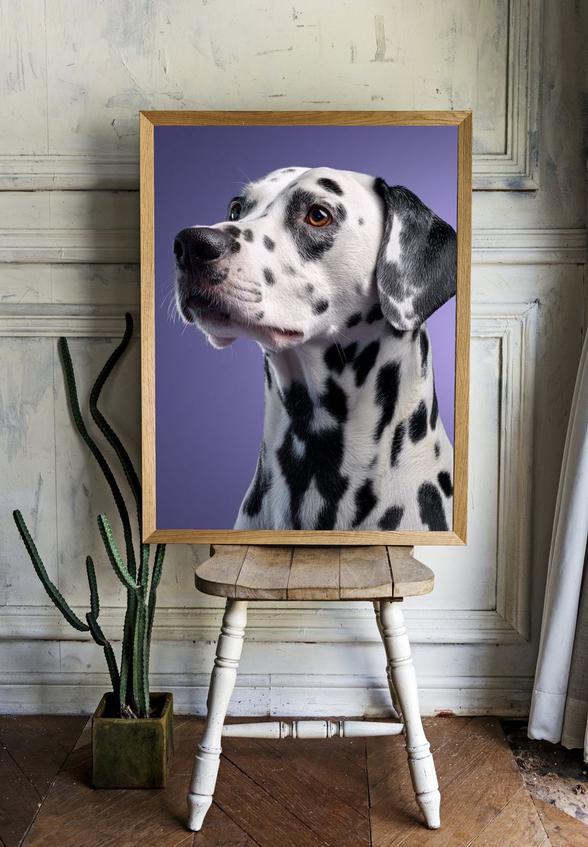Dalmatian Portrait Photography Poster. — room view 1