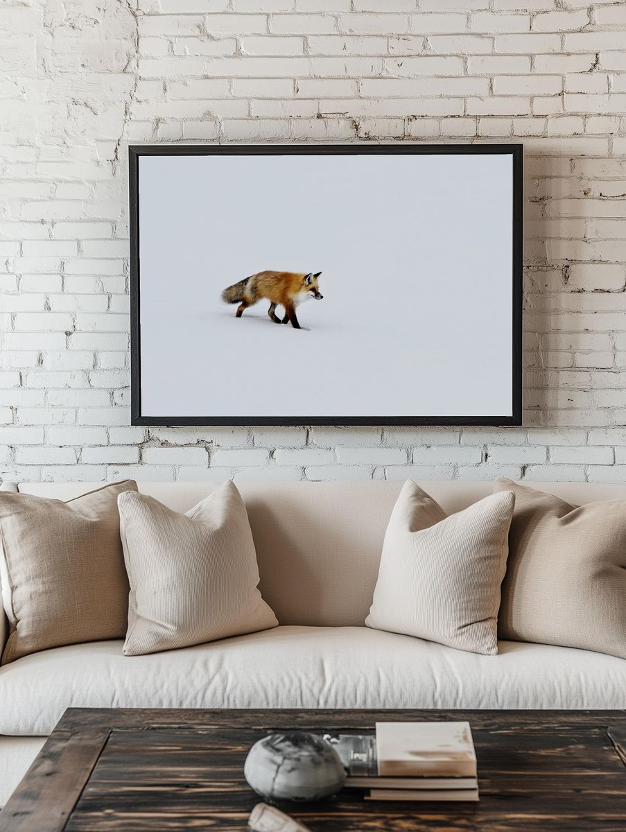 red fox prowls voles, hidden. — room view 1