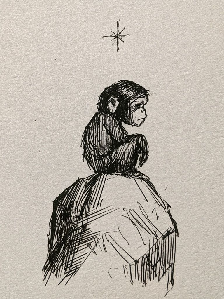 Monkey on Rock Ink Print. poster — animals art