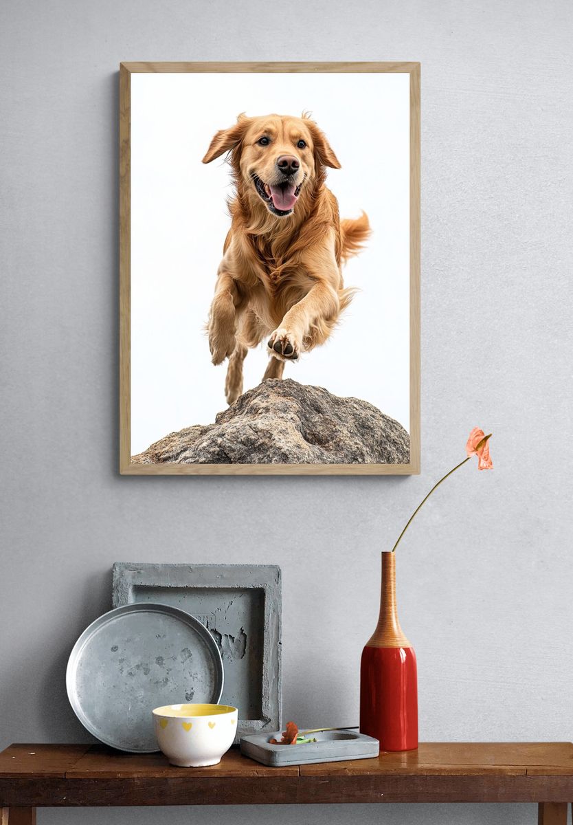 Golden Retriever Jumping Photography Poster. — room view 3