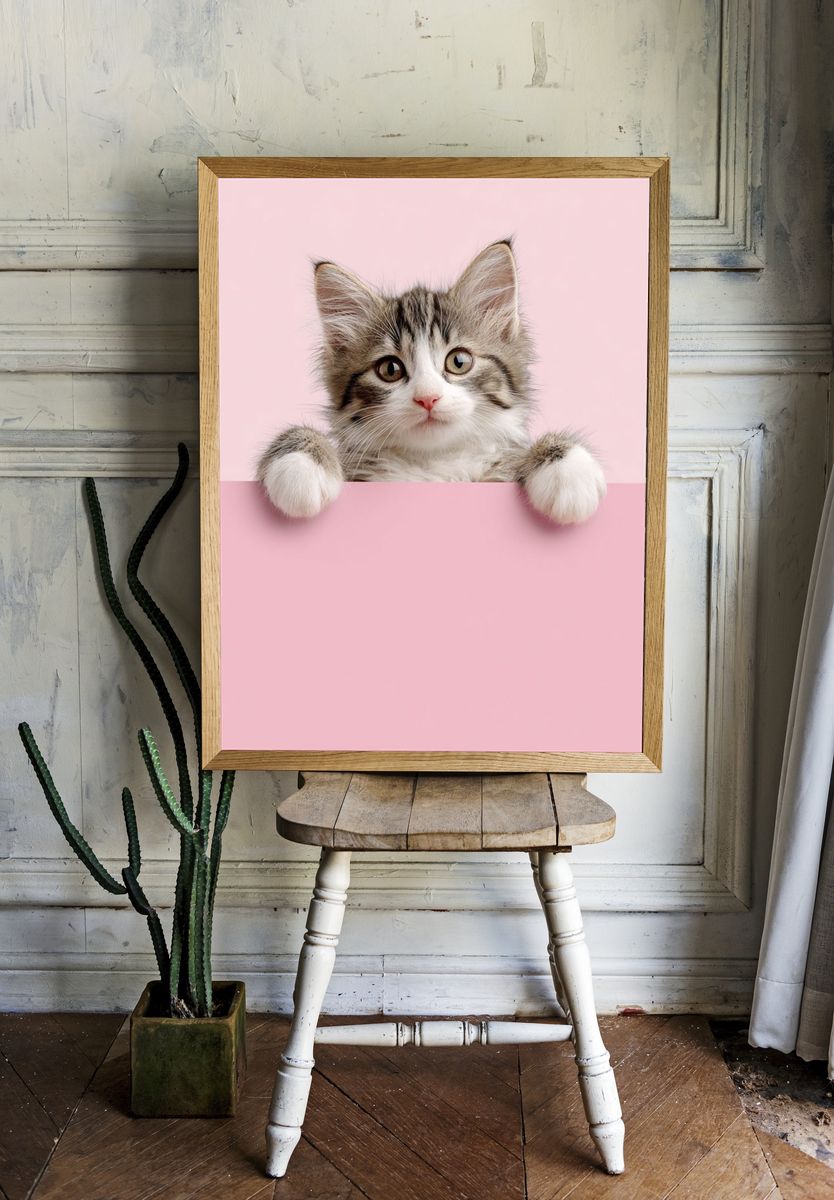 Cute Kitten Portrait Poster. — room view 1