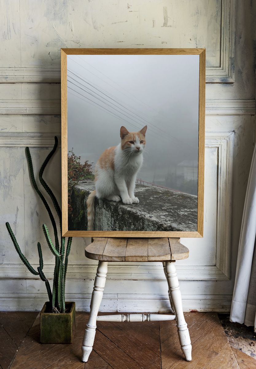 Foggy Cat Portrait Print. — room view 1