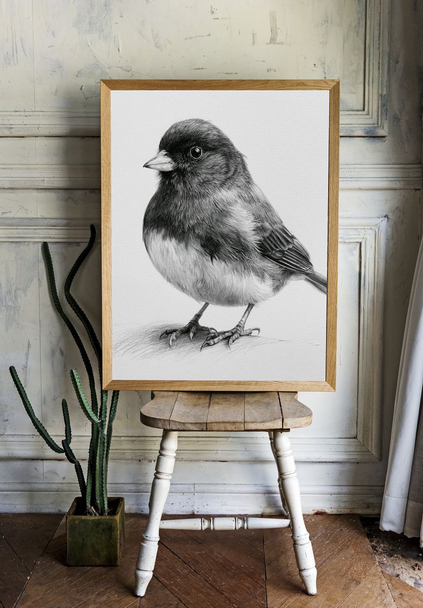 Songbird Pencil Sketch Poster. — room view 1