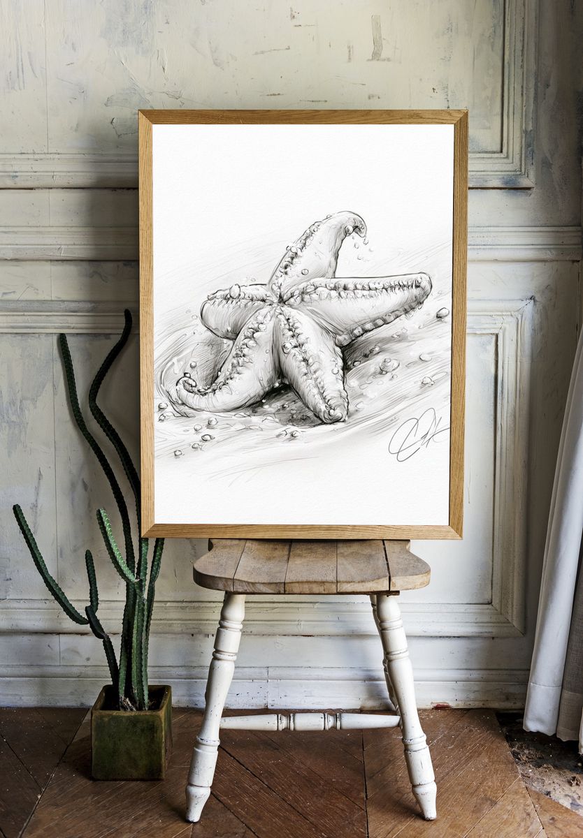 Starfish Sketch Poster. — room view 1