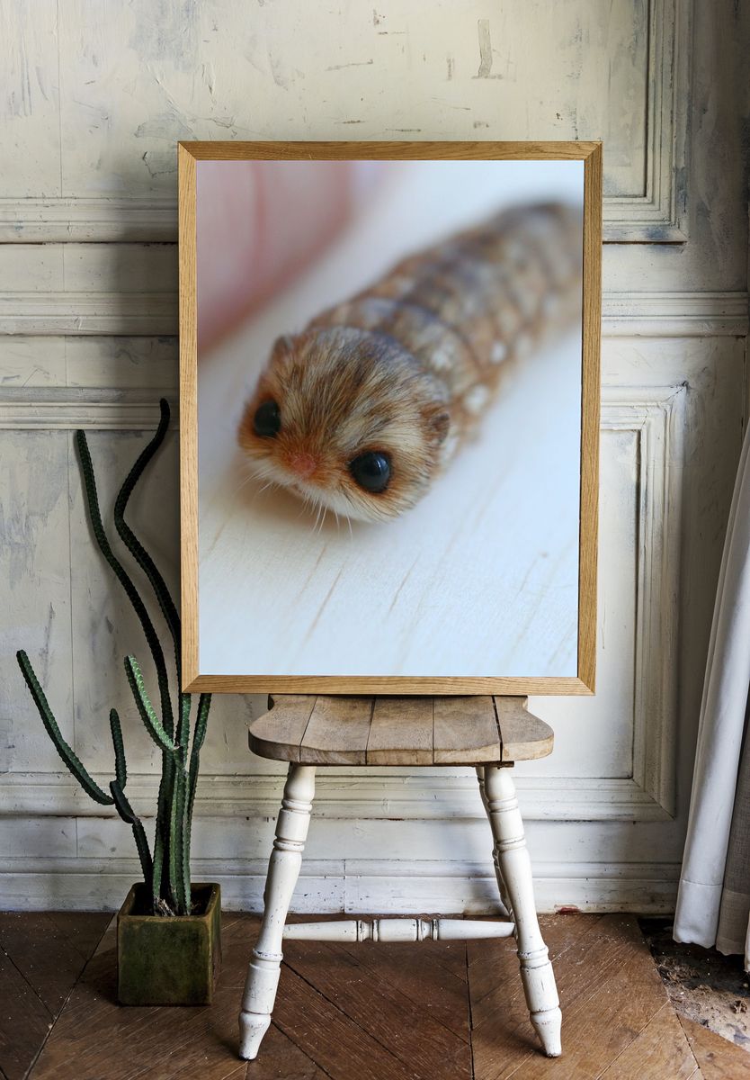 Cute Caterpillar Photography Poster. — room view 1