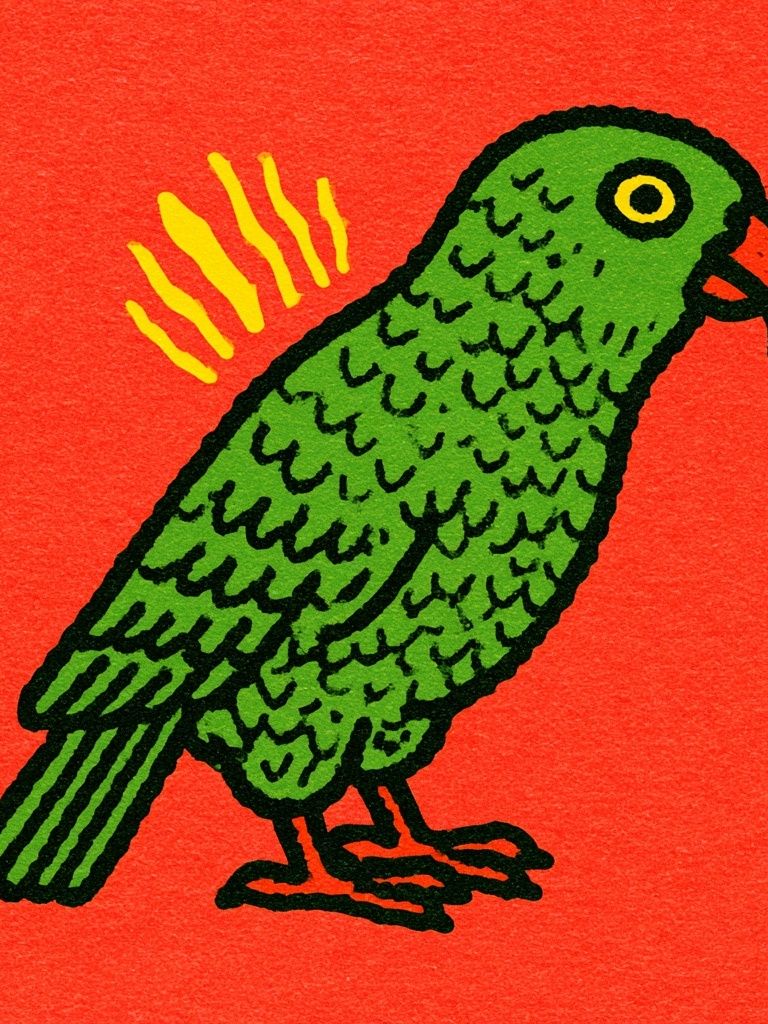 Green Parrot Illustration Poster. poster — animals art