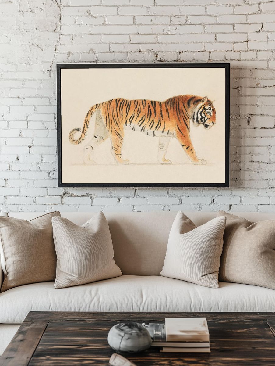 Tiger, Full-Length, Profile, Walking Towards. room preview