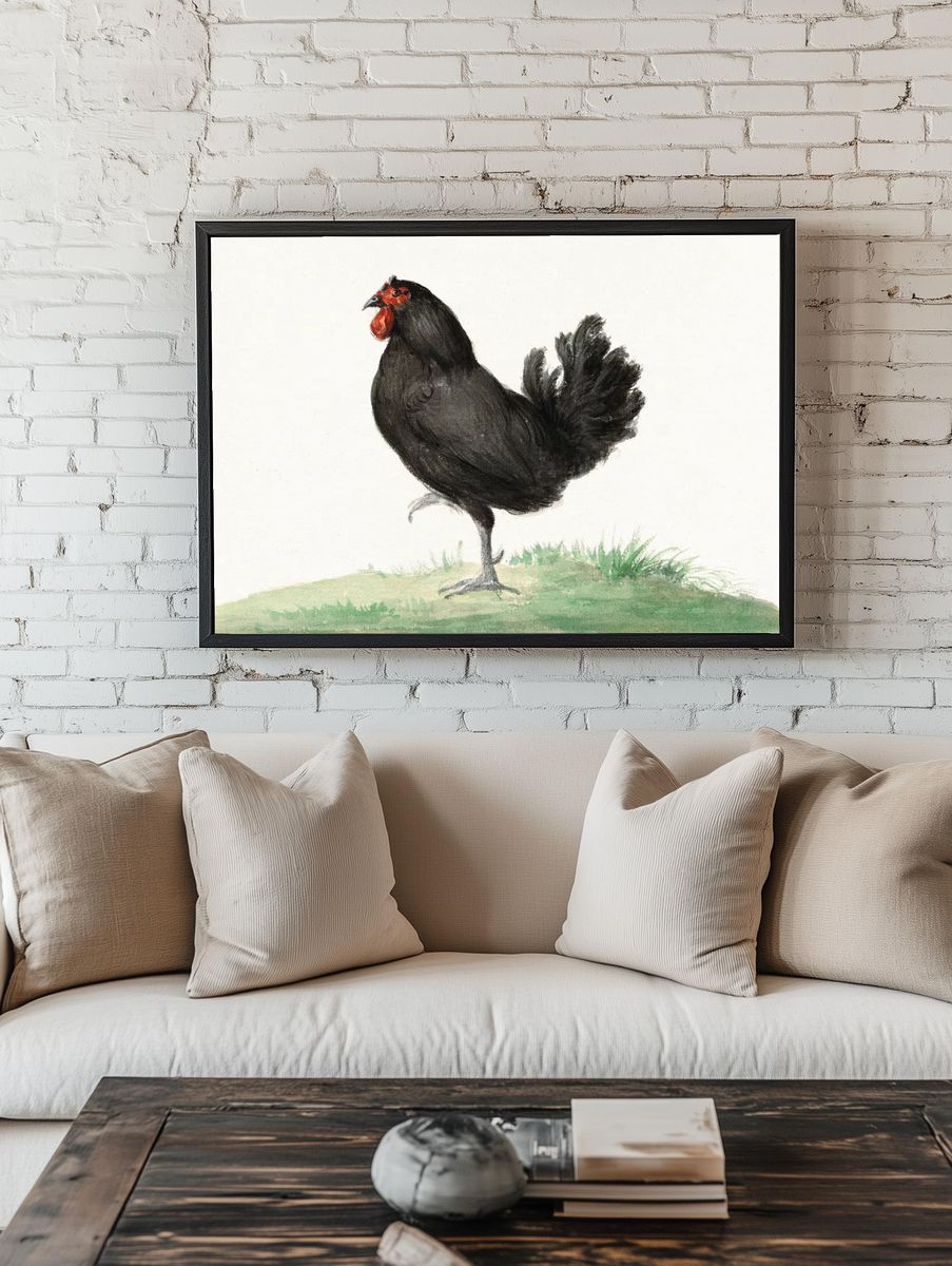 Standing black chicken (1775–1833) drawing. — room view 1