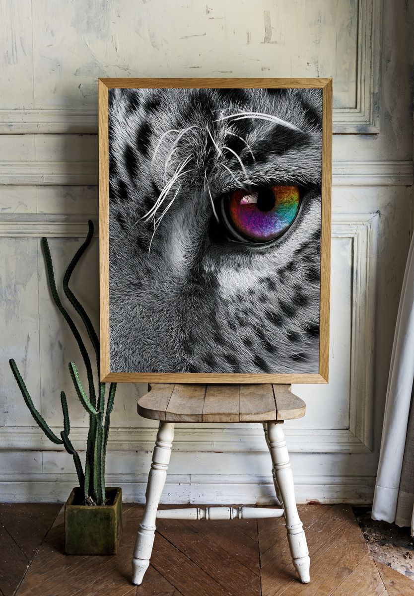 Rainbow Tiger Eye Photography Poster. — room view 1
