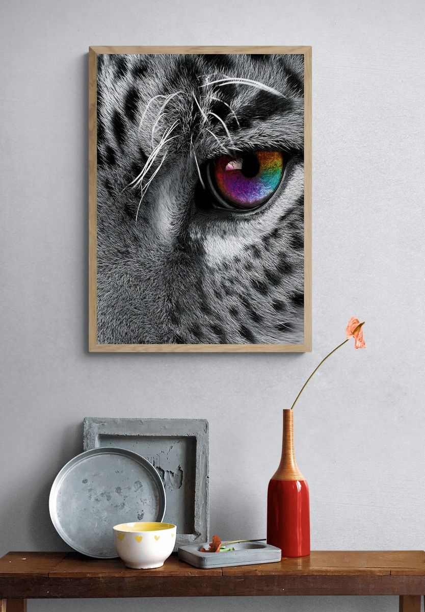 Rainbow Tiger Eye Photography Poster. — room view 3