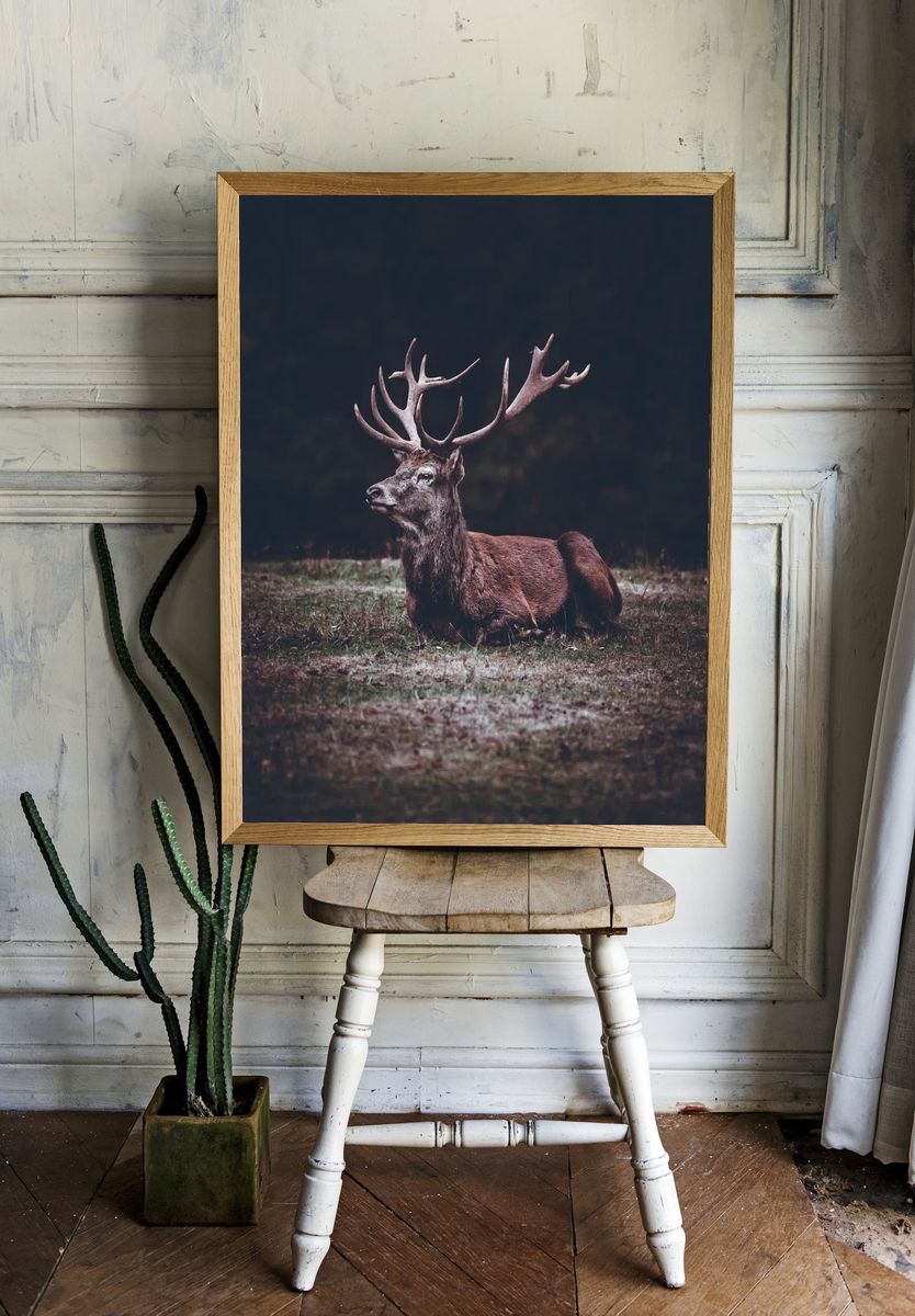 Majestic Stag Portrait Print. room preview