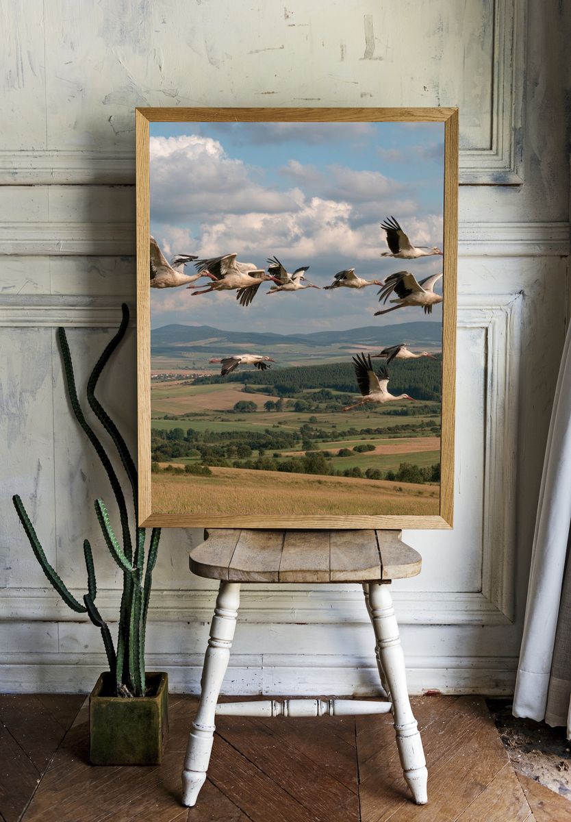 Flying Storks Over Countryside Poster. — room view 1