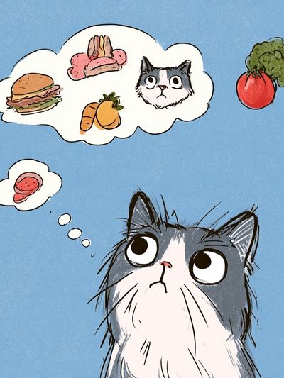 Hungry Cat Cartoon Poster. poster