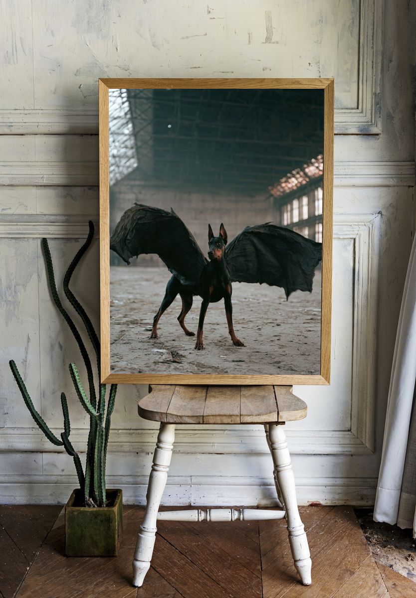 Winged Doberman Photography Poster. room preview