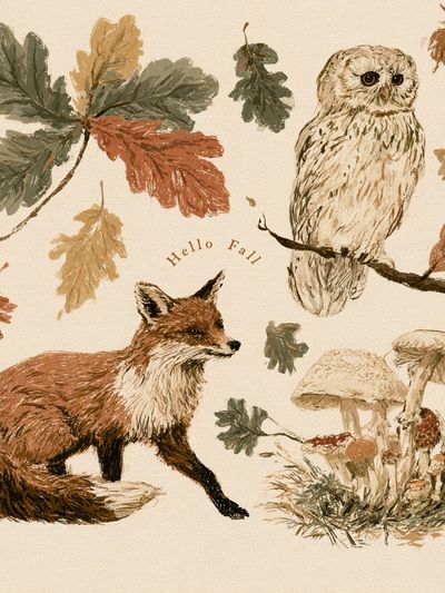 Autumn Woodland Animals Illustration Poster.