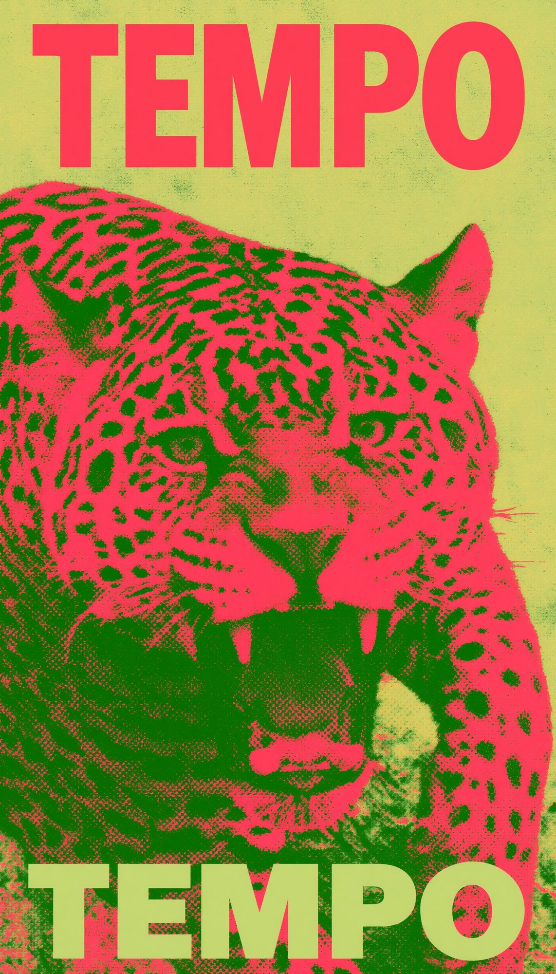 Leopard Tempo Typography Poster. poster — animals art