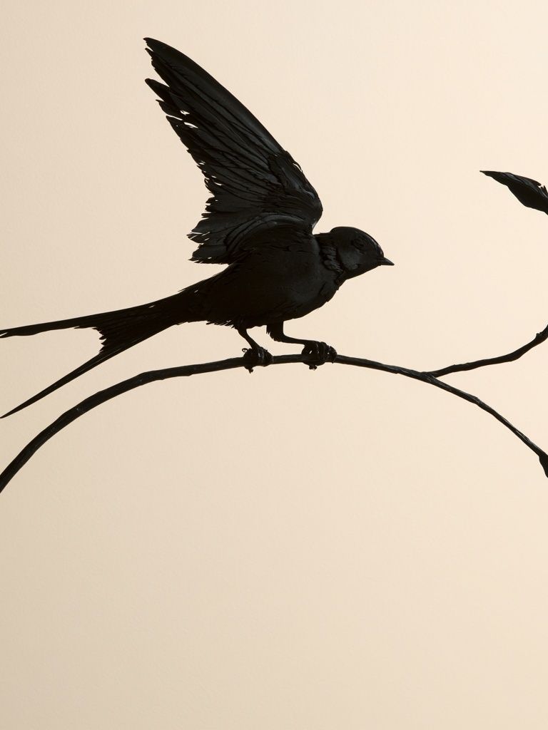 Black Bird Silhouette Botanical Print. poster detail
