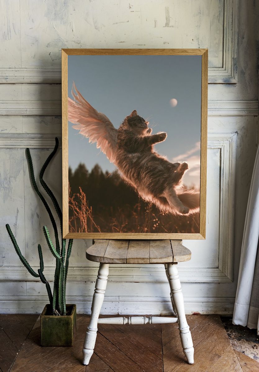 Winged Cat Sunset Photography Poster. room preview