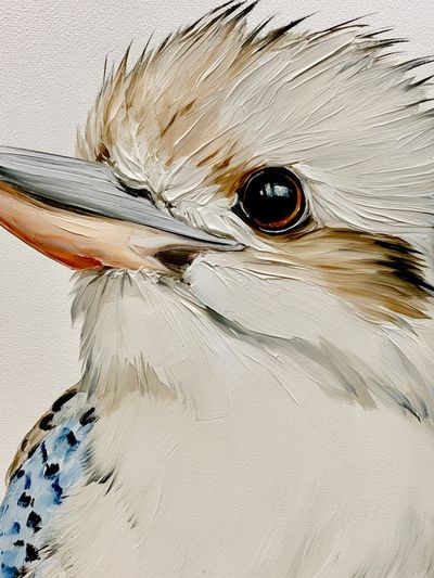 Kookaburra Portrait Illustration Poster.