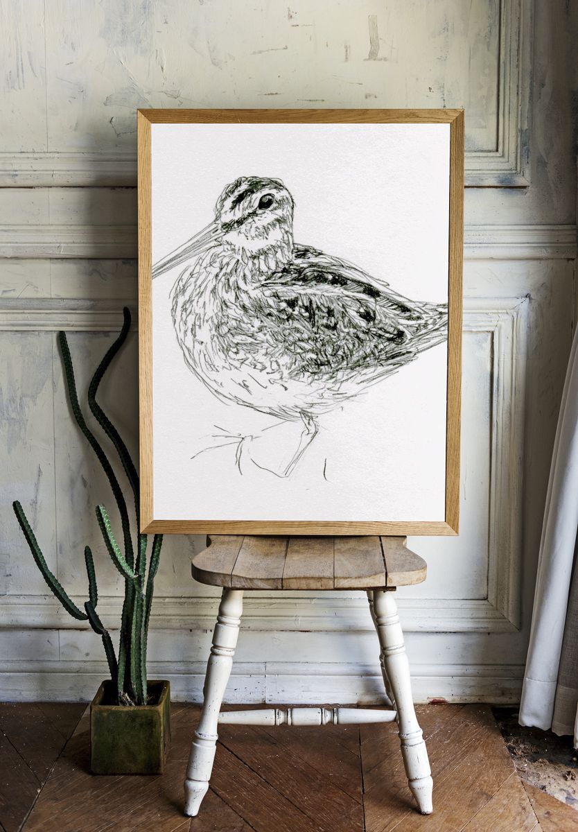 Snipe Bird Line Art Poster. — room view 1