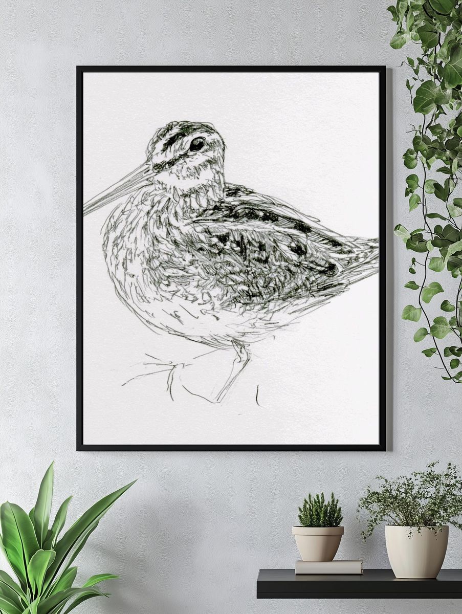 Snipe Bird Line Art Poster. — room view 4