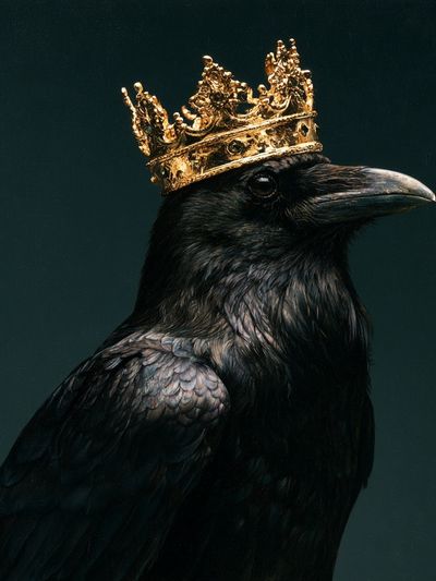 Crowned Raven Portrait Poster. poster