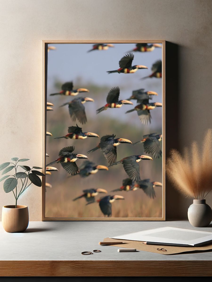 Flying Toucans Photography Poster. — room view 2