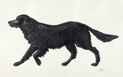 Weather Vane Pattern (ca. 1939). poster