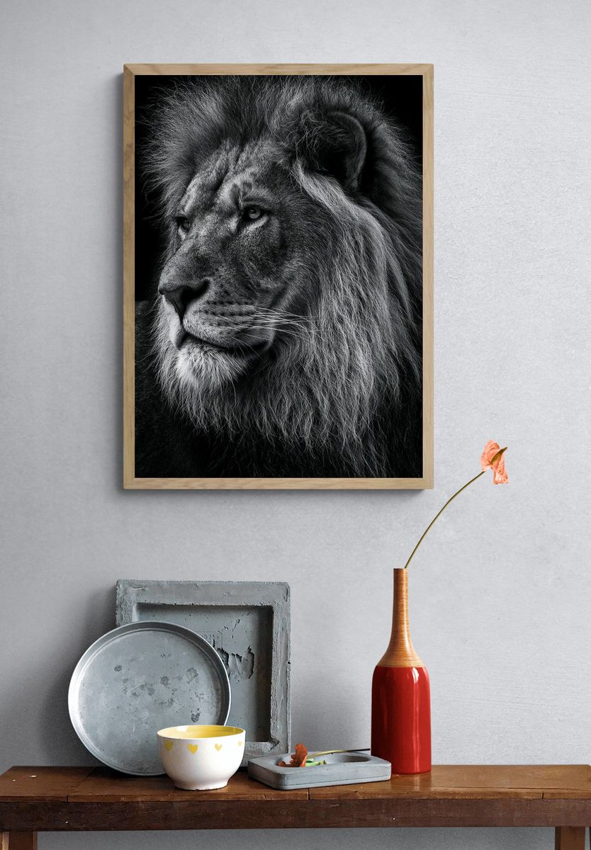 Majestic Lion Portrait Poster. — room view 3