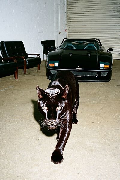 Black Panther Garage Portrait Poster. poster
