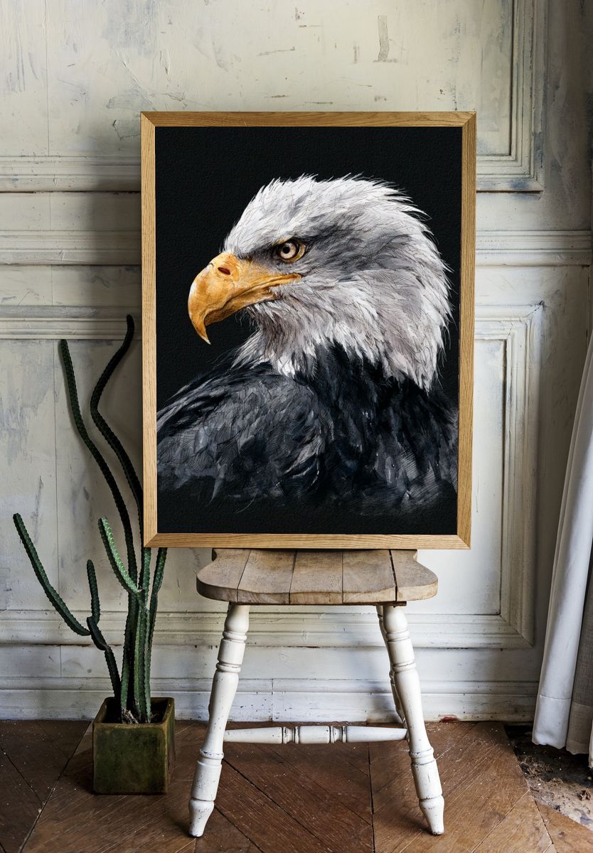 Bald Eagle Watercolor Poster. — room view 1