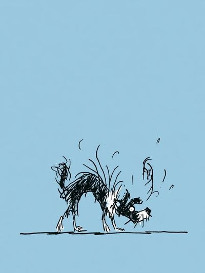 Playful Dog Sketch Print.