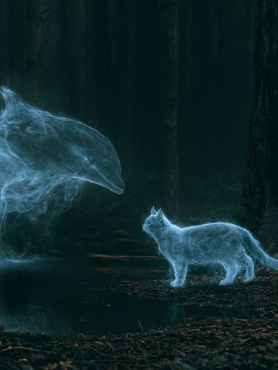 Spirit Cat Forest Poster. poster