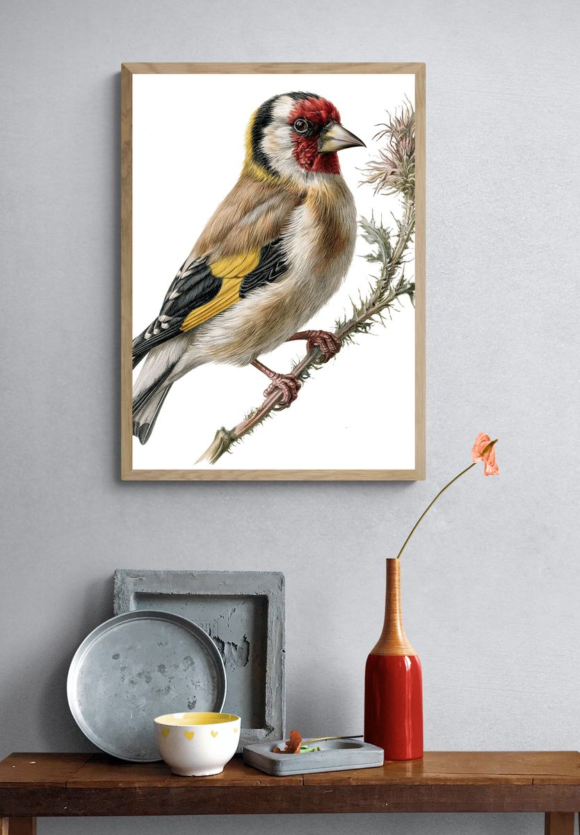 European Goldfinch Botanical Print. — room view 3