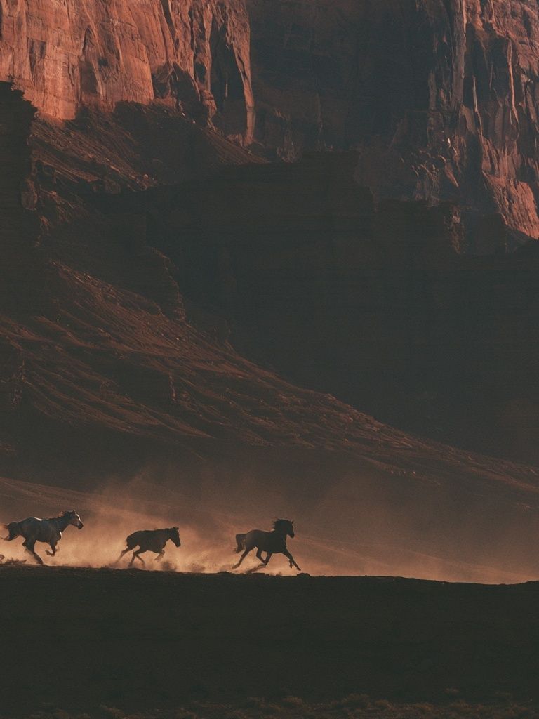 Wild Horses Canyon Run Poster. poster detail