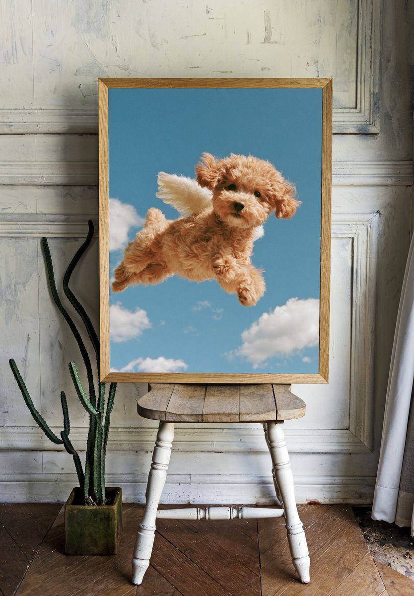 Flying Puppy Photography Poster. room preview