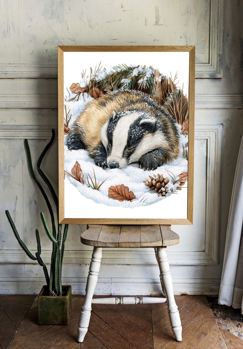 Sleeping Badger Winter Watercolor Poster. room preview