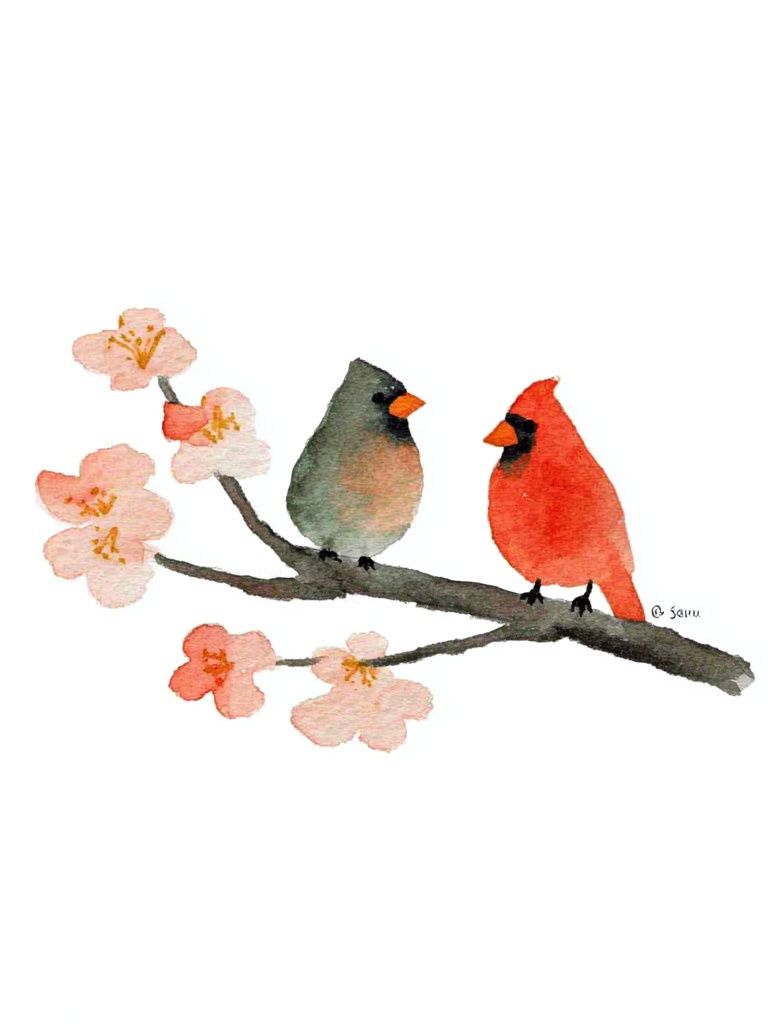 Cardinals on Cherry Blossom Branch Print. poster — animals art