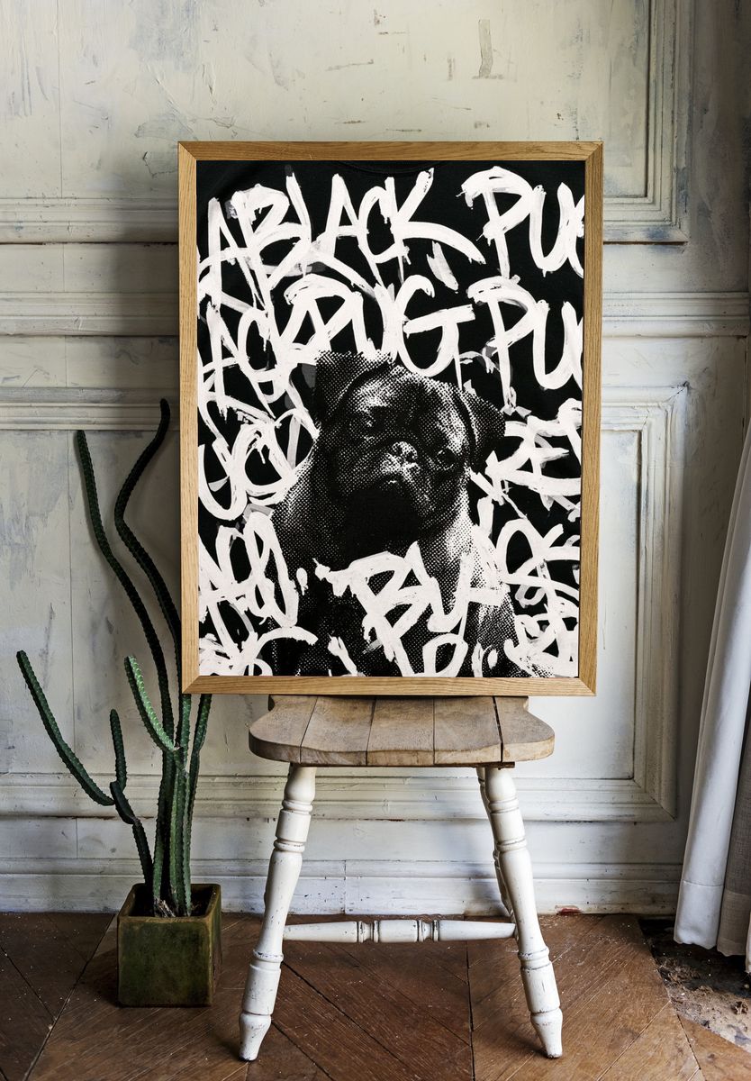 Pug Graffiti Portrait Print. — room view 1