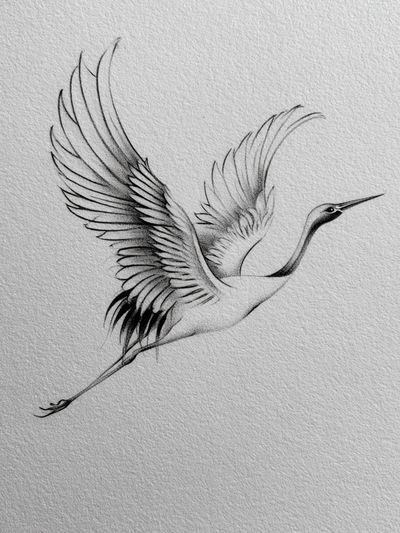 Crane in Flight Ink Poster. poster