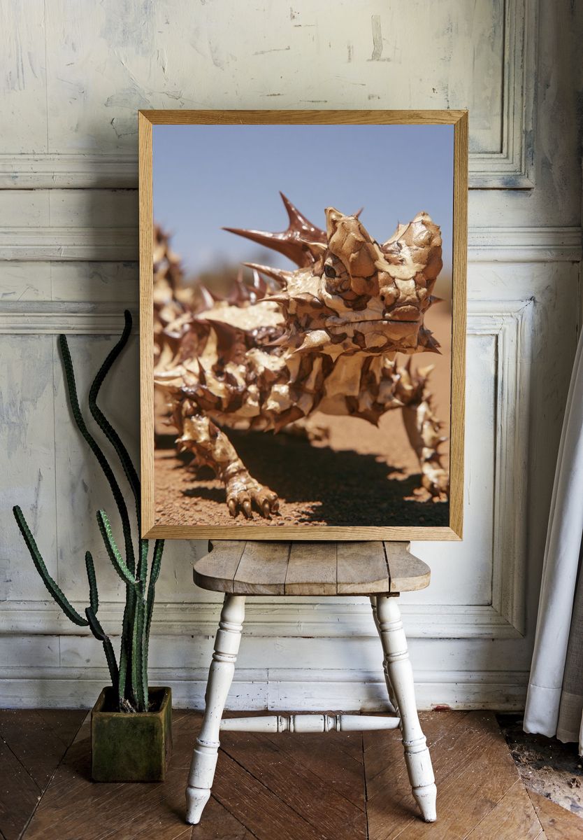Thorny Devil Desert Wildlife Poster. — room view 1