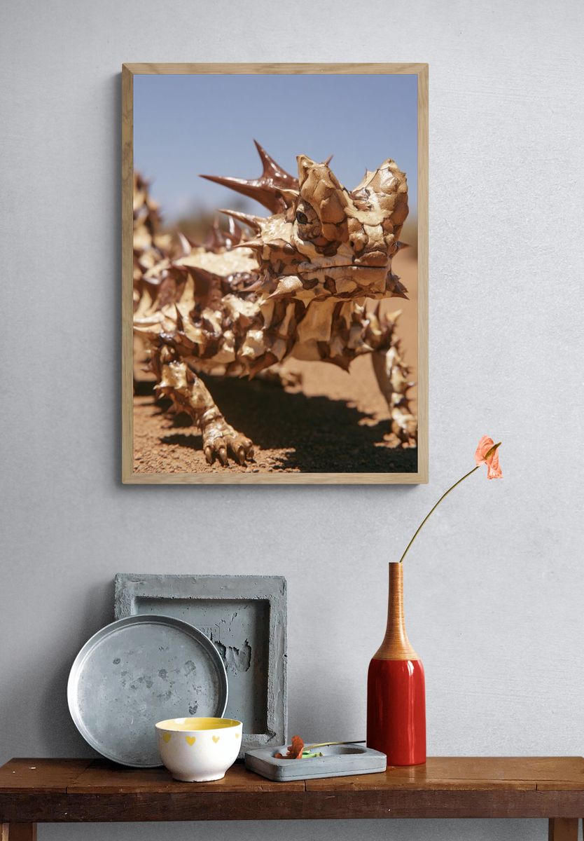 Thorny Devil Desert Wildlife Poster. — room view 3