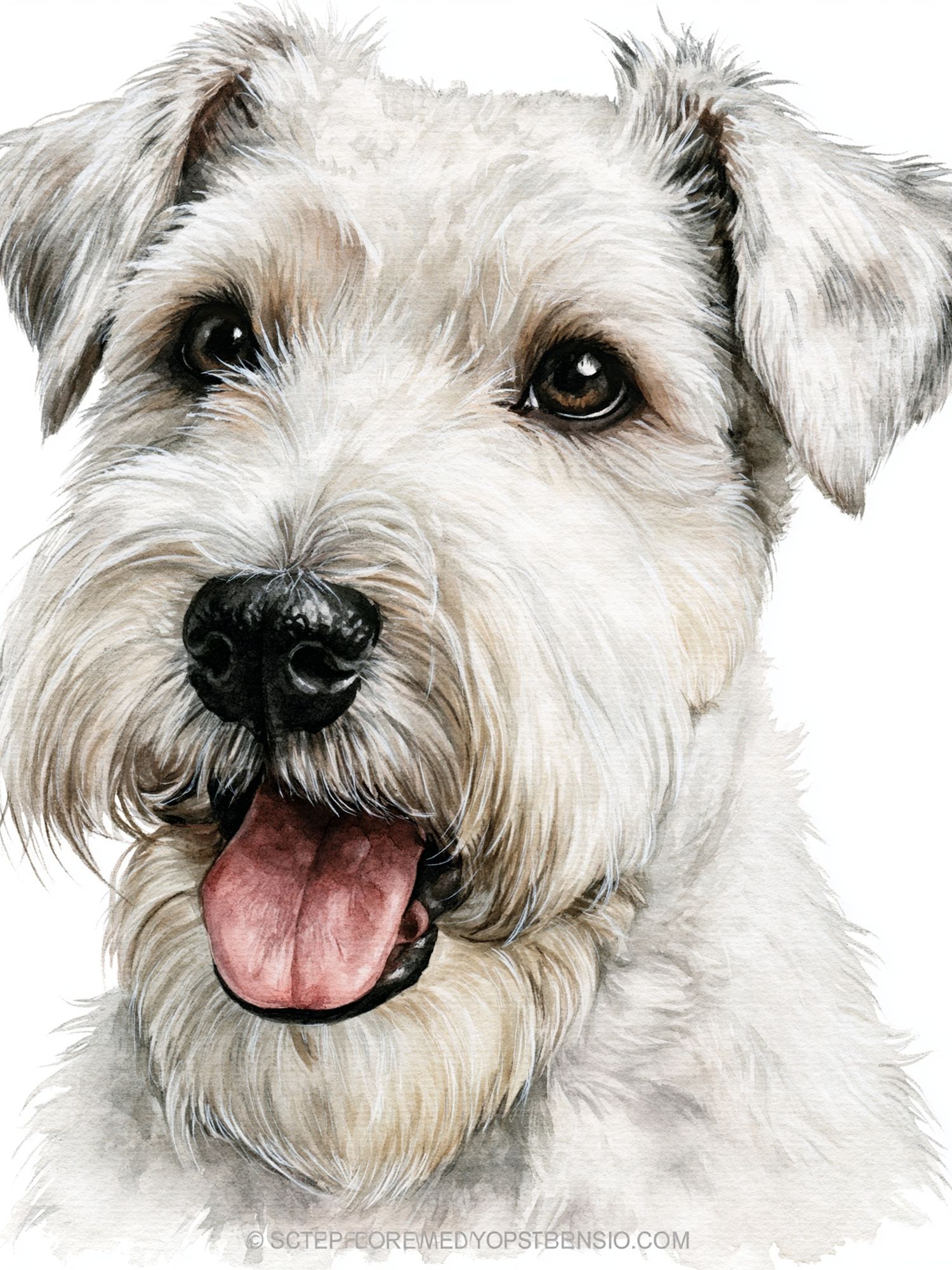 Schnauzer Watercolor Portrait Poster. poster detail