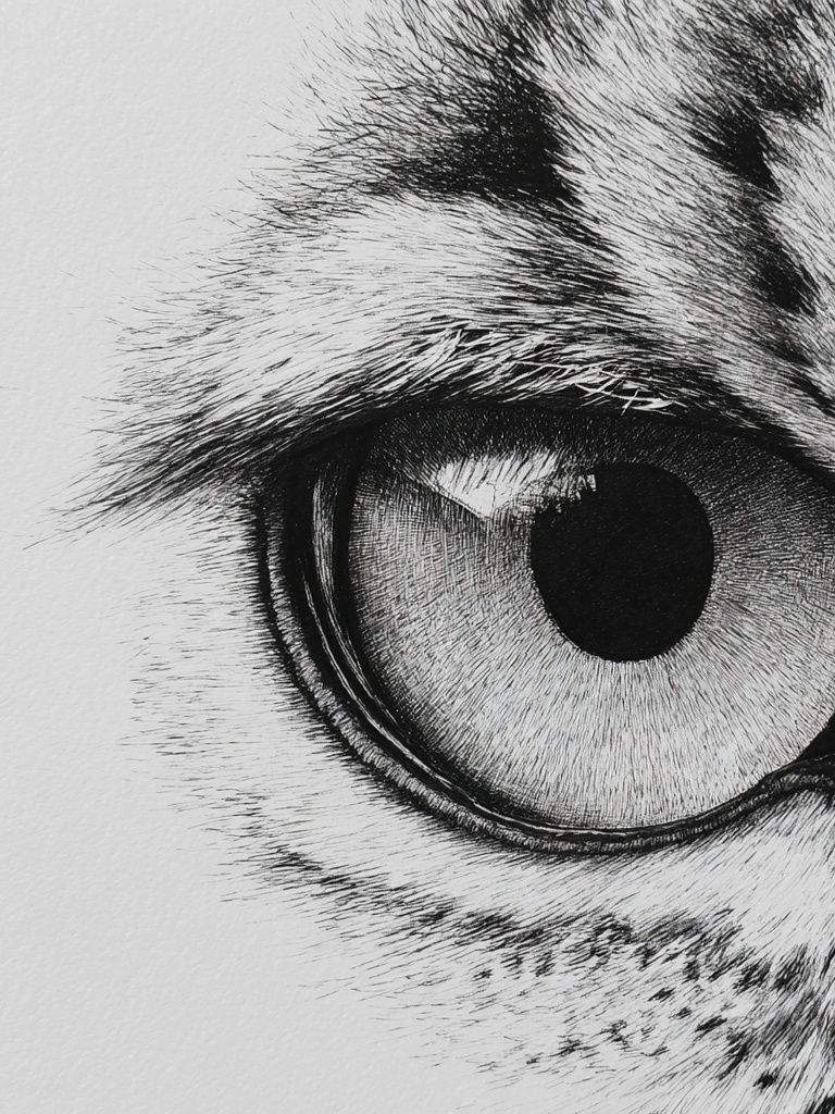 Leopard Eye Black-White Print. poster detail