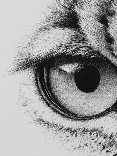 Leopard Eye Black-White Print. poster